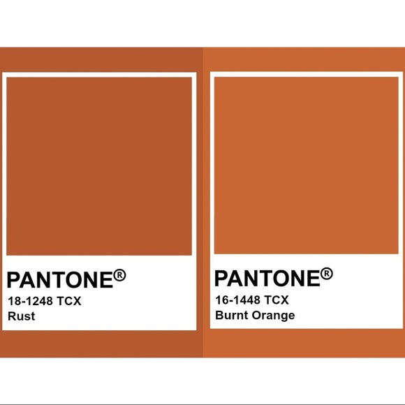 Tularosa Tate Shorts in Rust Burnt Orange High Waist Button Front Silky Shorts - Picture 12 of 15